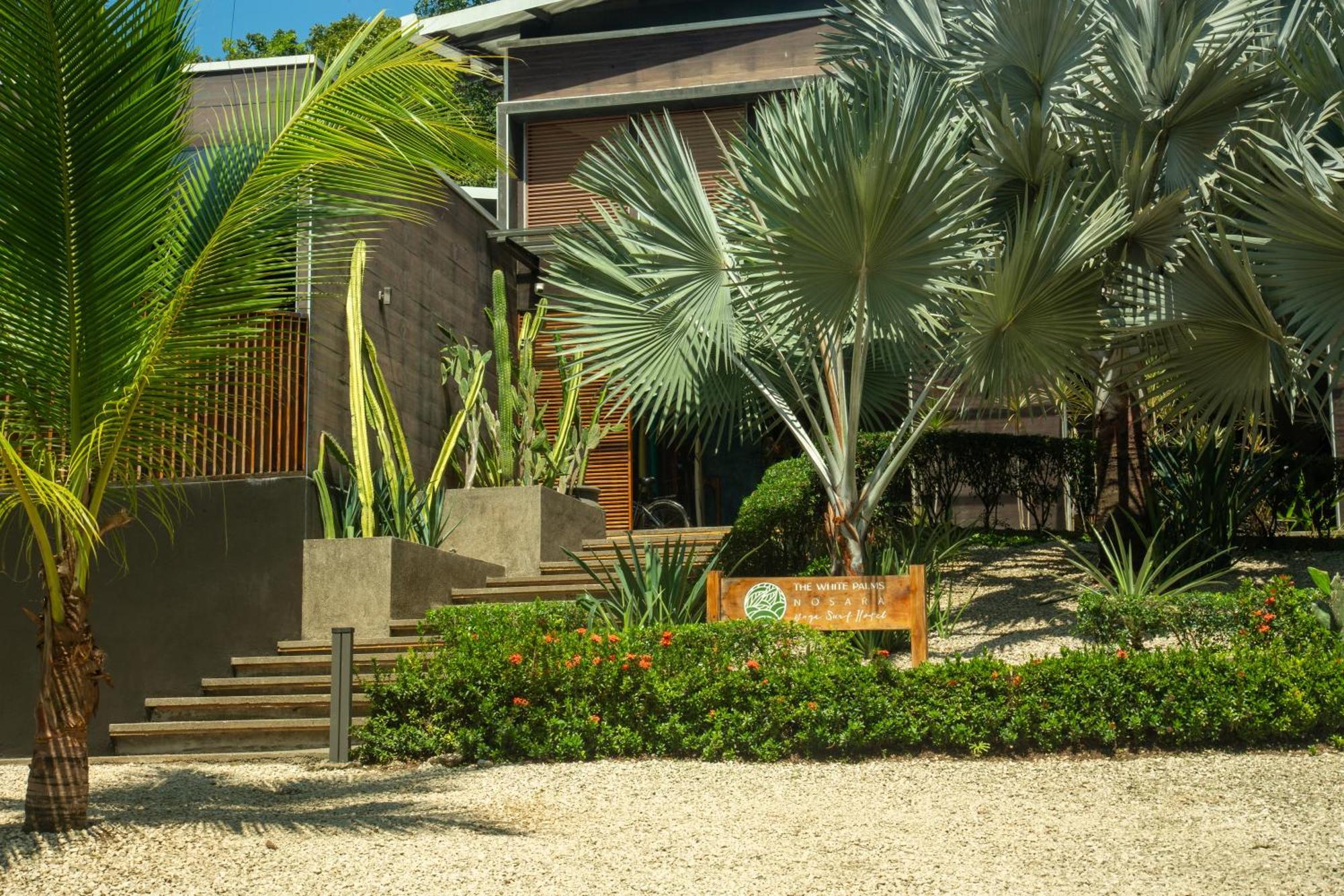 The White Palms Of Nosara Hotel Playa Guiones Eksteriør billede